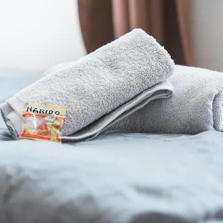 公寓 Grosszuegige Monteurwohnungen In Mit Smart Tv, Wifi, Parkplatz 内卡河畔文德林根