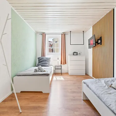 Grosszuegige Monteurwohnungen In Mit Smart Tv, Wifi, Parkplatz 内卡河畔文德林根